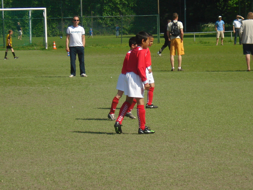 De Ster 031