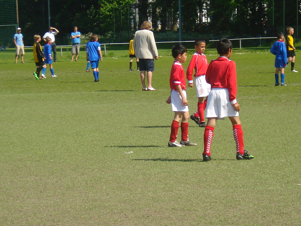 De Ster 033