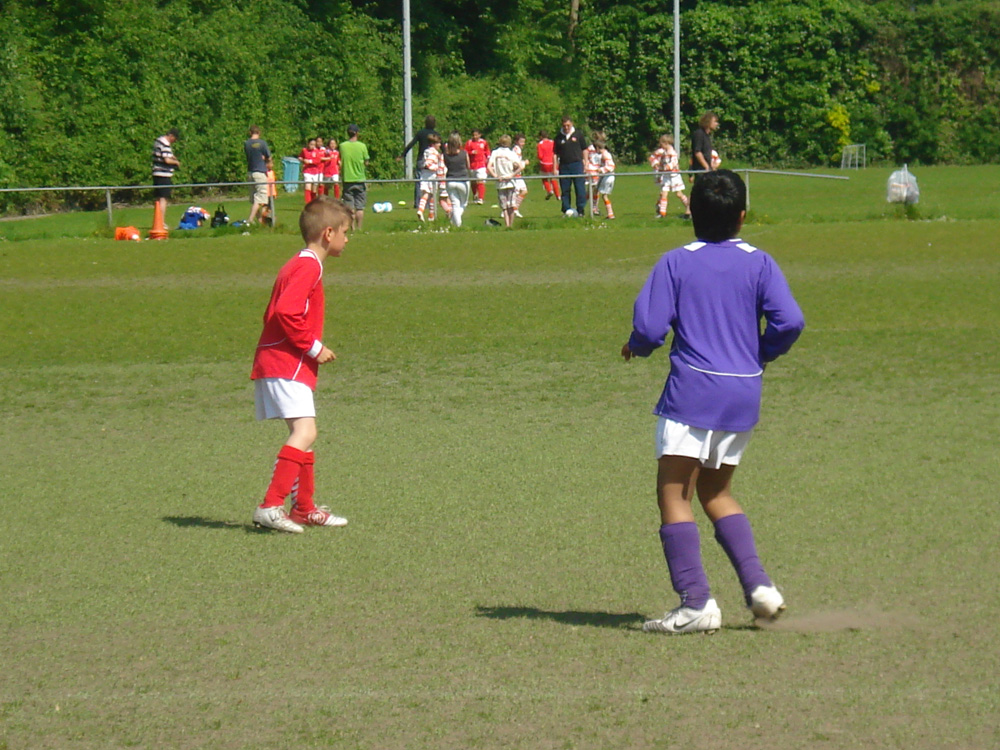 De Ster 034